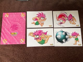 Tombi! Official Strategy Guide & Art Museum ps5