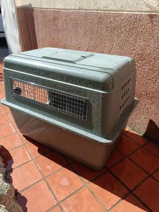 Jaula grande para perros