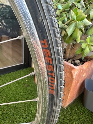 Bicicleta Paseo Holandesa Vintage Gazelle