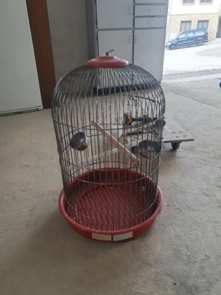 Gabbia rotonda per uccelli