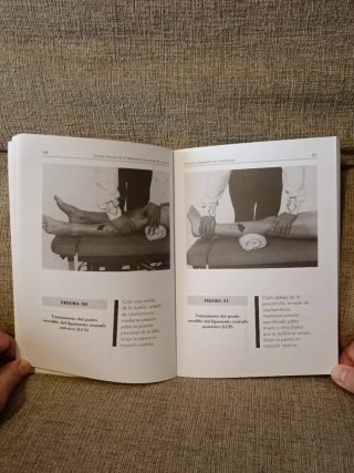 TERAPIA MANUAL DE LA DISFUNCIÓN NEUROMUSCULAR Y...