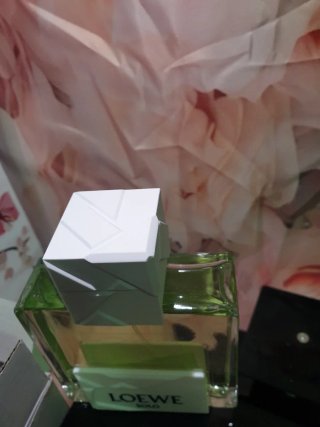 Perfume Loewe Solo origami edt 100ml