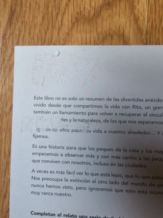 Un gorrión en mi salón La historia de Rita, un ...