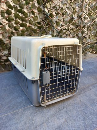 Transportín grande perro/gato