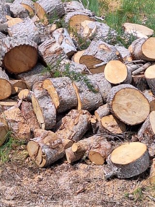 Leña de pino para chimenea en trozos grandes