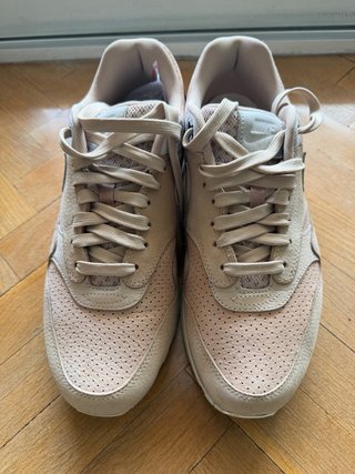 Nike Air Max 1 Pinnacle Mushroom
