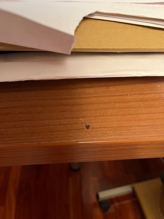 Habitación con cama nido y escritorio