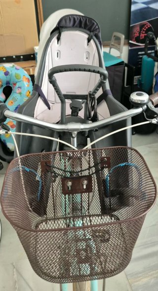 Silla bici delantera Thule para niño
