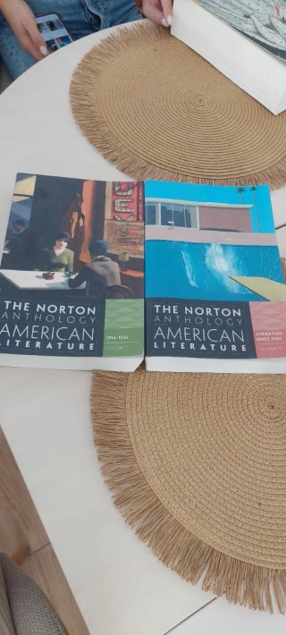 The Norton anthology of American literature. D y E