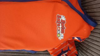 Chaleco flotador infantil tiburón