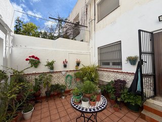 Pintor y albañil
