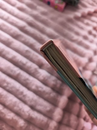 Libro Mónica Morán