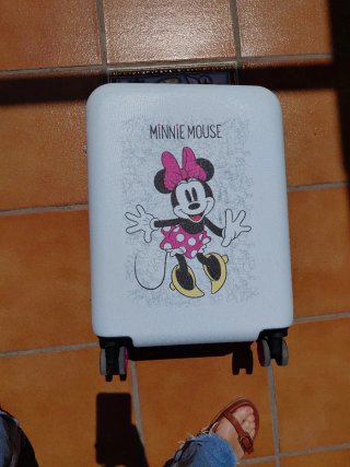Maleta Minnie Rosa y Gris