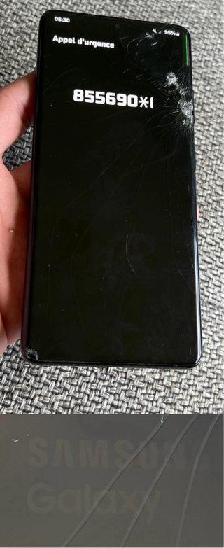 Samsung S21 Ultra 5G Nero - Da Riparare