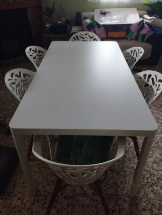 Mesa y 6 Sillas