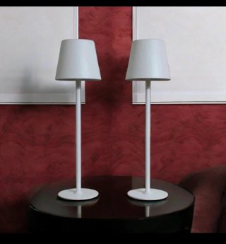 2 Lampade LED Ricaricabili Bianche