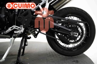 TRIUMPH TIGER 900 RALLY PRO
