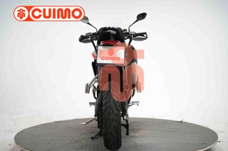 TRIUMPH TIGER 900 RALLY PRO