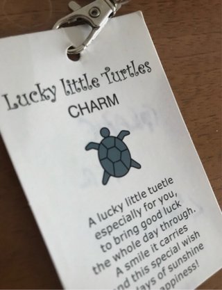 Charm Tartaruga Turchese Portafortuna