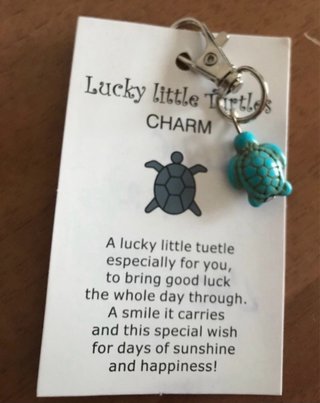 Charm Tartaruga Turchese Portafortuna