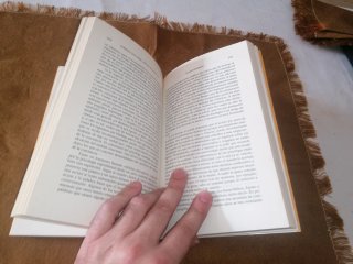 Libro: CEREBRO DE LIEBRE, MENTE DE TORTUGA