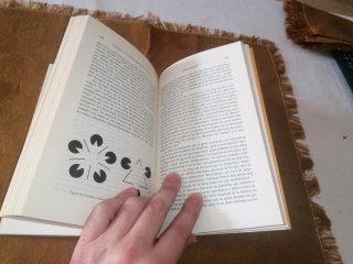 Libro: CEREBRO DE LIEBRE, MENTE DE TORTUGA