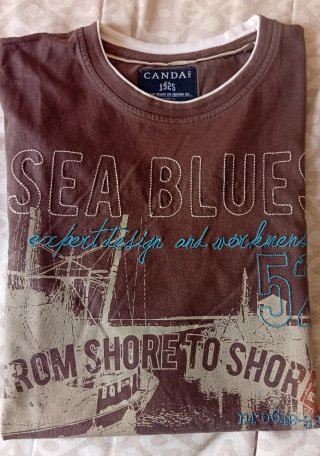 Camiseta