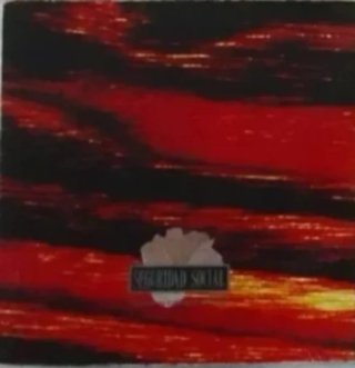 Vinilo Seguridad Social - Que no se extinga la lla