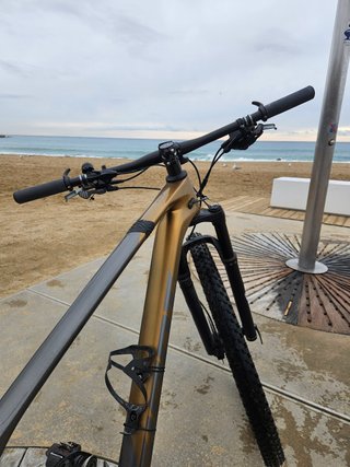 BTT GIANT XTC CARBON | 10KG | SID | RUEDAS CARBON