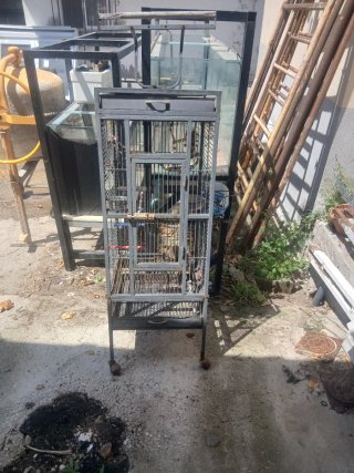 Jaula para loro o pájaro