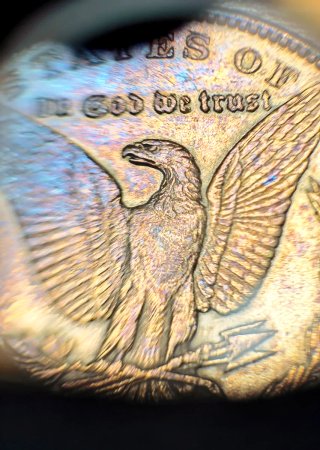 Gema Dólar Morgan 1892 (P) Ultra Rara