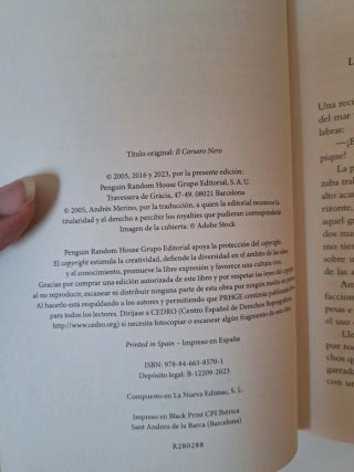 El corsario negro