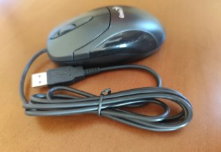 Ratón óptico Genius XScroll USB negro