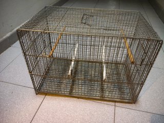 Jaula de cría de 40 cm