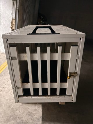 Transportín perros animales vivos