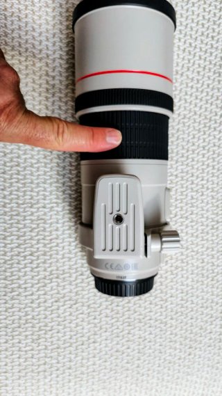 Canon EF 300mm f/4 L IS USM