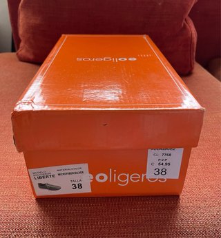 Zapatillas Eoliger plateadas