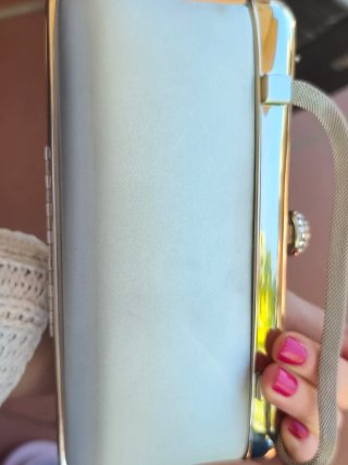 Pochette Scheilan Argento