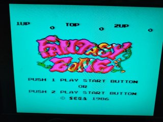 Fantasy Zone Sega Master System