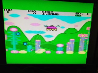 Fantasy Zone Sega Master System
