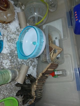 Jaula Tupper Hamster