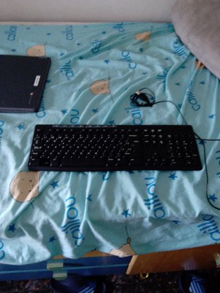 PC Asus con Windows 10 + Monitor