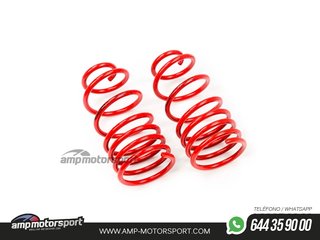MUELLES DEPORTIVOS MTS TECHNIK MTSXRE003