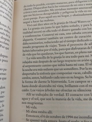 La Rueda de la Vida / the Wheel of Life