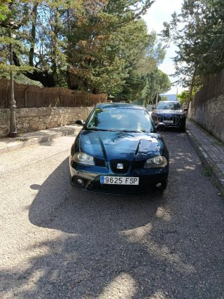 seat ibiza ibiza 2007