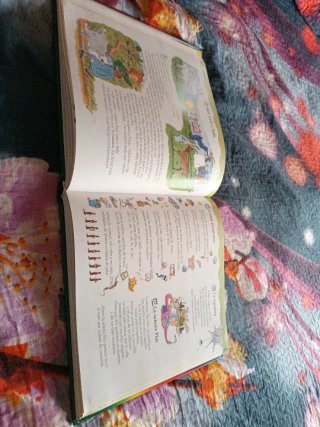 Libro un cuento para casa día.