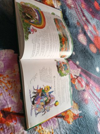 Libro un cuento para casa día.