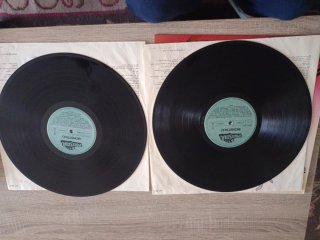 Monstruo 30 Exitos Vinilo 2 LPs