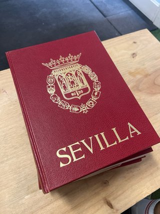 Colección “Sevilla y su provincia”