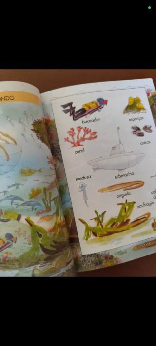 El libro de las palabras 1 y 2